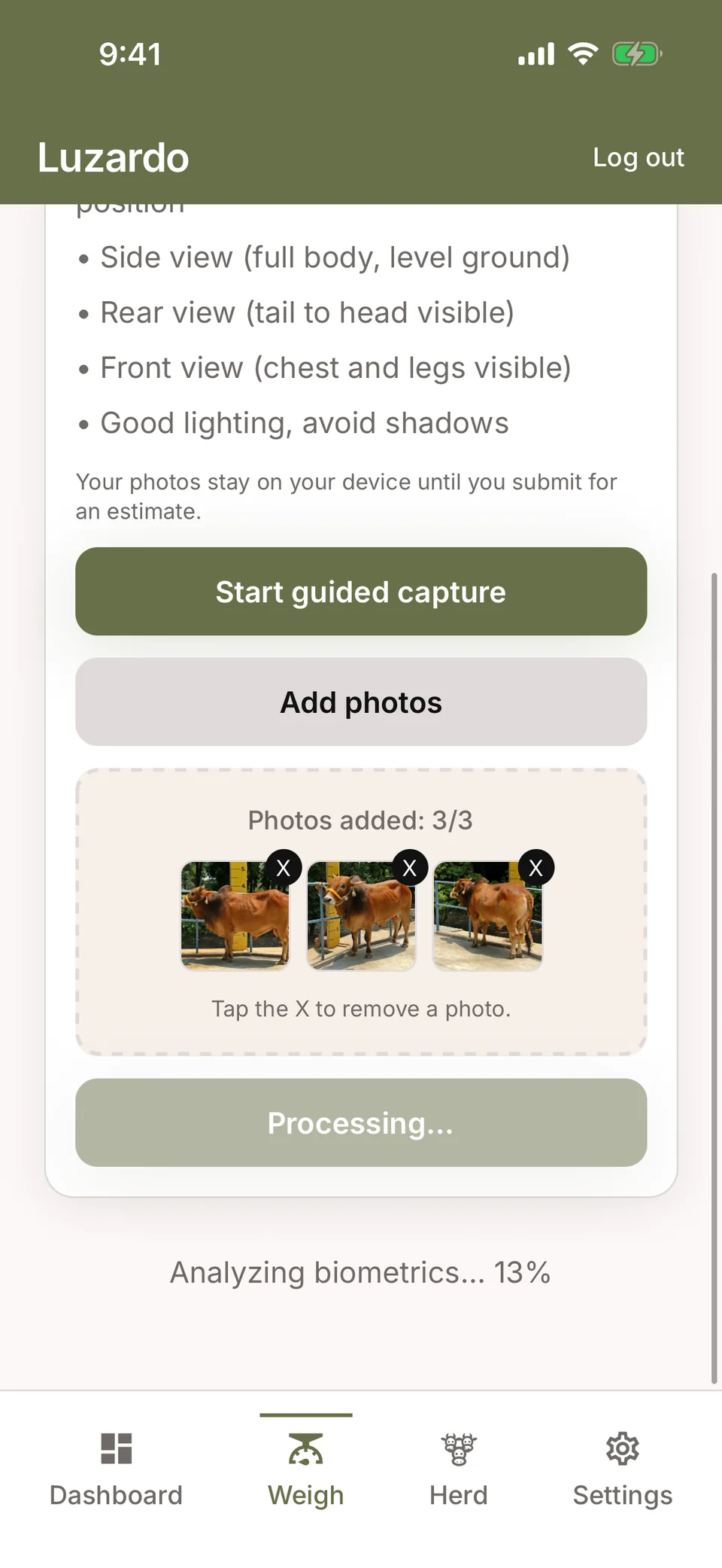 The Luzardo app mid weigh-in, listing photo tips above a 'Processing' button and an 'Analyzing biometrics' status